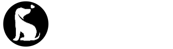 Shiba Inu Classic